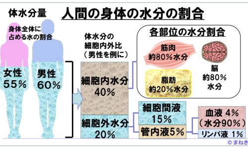 五灵脂价格最高多少一斤-五灵脂价格网 - 网站提供五灵脂价格小常识、五灵脂价格查询